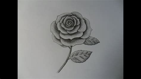 dibujos a lápiz cómo dibujar una rosa how to draw a rose vlr eng br