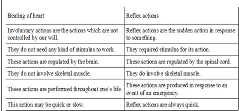 How Is The Mode Of Action In Beating Of The Heart Different From Reflex