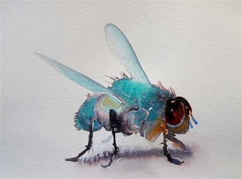 Watercolor By Carol Carter Insect Art Bee Art Animal Art