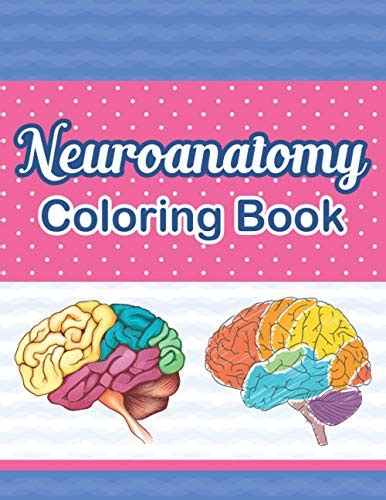 Neuroanatomy Coloring Book Incredibly Detailed Self Test Human Brain