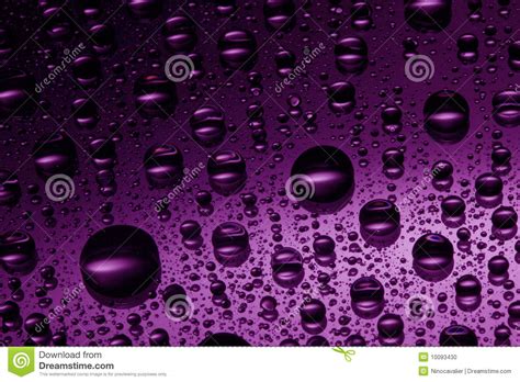 Pink Water Drops Stock Photo - Image: 10093430