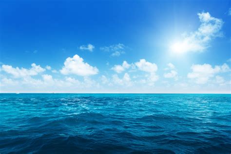The Ocean Is A Key Carbon Dioxide Sink For Now