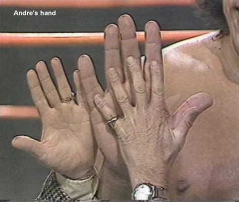 Andre The Giant Beer Hand Shefalitayal