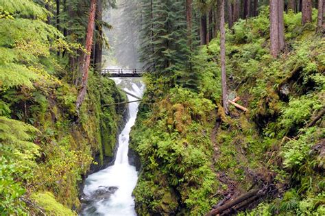 Waterfalls In Olympic National Park And The Olympic Peninsula