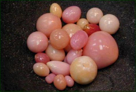 Conch Pearl The Only Natural Pink Pearl Geology In