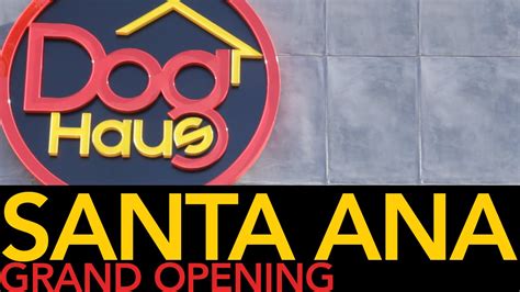 Santa Ana Grand Opening Dog Haus Youtube