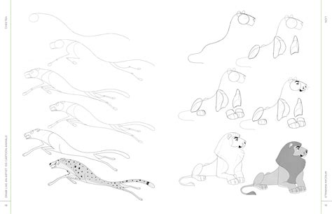 Draw Like An Artist 100 Cartoon Animals By Keilidh Bradley Quarto At