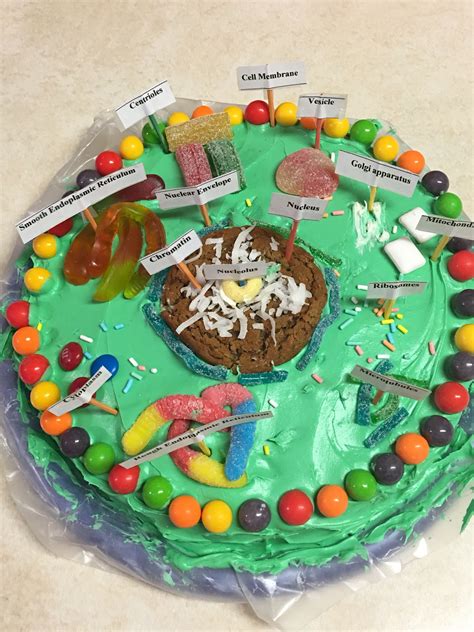 Edible Animal Cell Animal Cell Edible Animal Cell Plant And