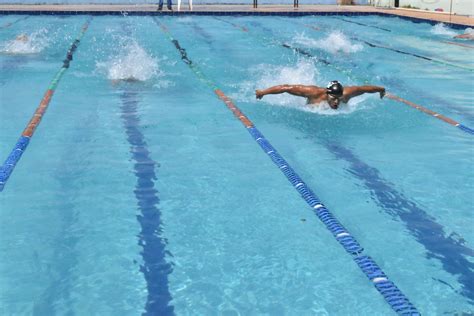 Free Images Swimming Pool Butterfly Swimmer Competition Water