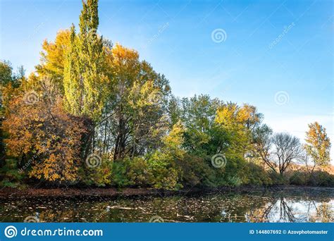 Autumn Landscape Trees With Yellow Leaves Along The River