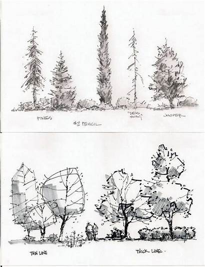 Drawing Architecture Landscape Sketch Architectural Trees Sketching