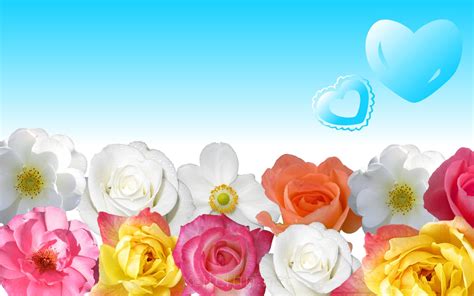 Most Beautiful Flower Wallpapers