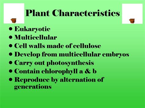 A haploid gametophyte cell has a fixed number of unpaired chromosomes. PPT - Kingdom Plantae PowerPoint Presentation, free ...