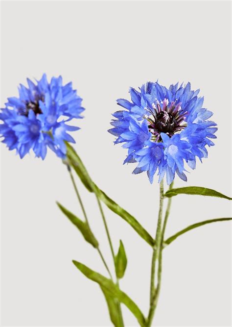 Cornflowers In Blue Faux Wildflowers