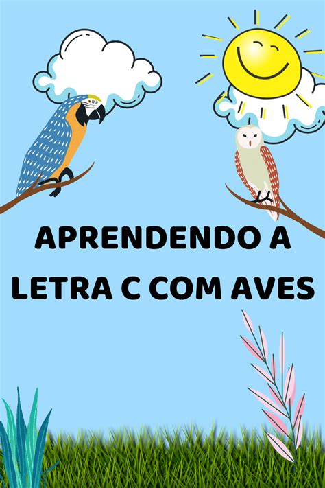 Passaros Com A Letra C