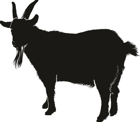 Boer Goat Silhouette Clip Art Goat Png Download 40003489 Free