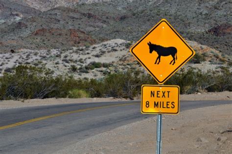 Donkey Crossing Warning Sign Free Stock Photo Public Domain Pictures