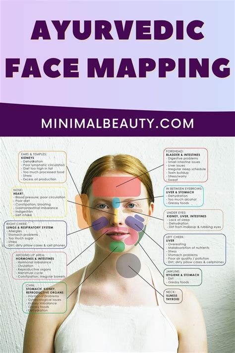 Ayurvedic Face Mapping Face Mapping Skin Care Basics Ayurvedic Skin