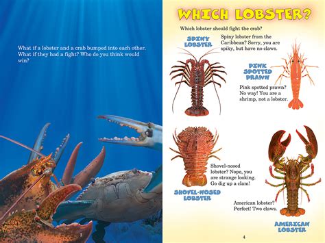 Lobster Vs Crab Who Would Win Scholastic Canada