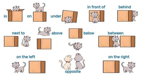 Prepositions Of Place English Quizizz