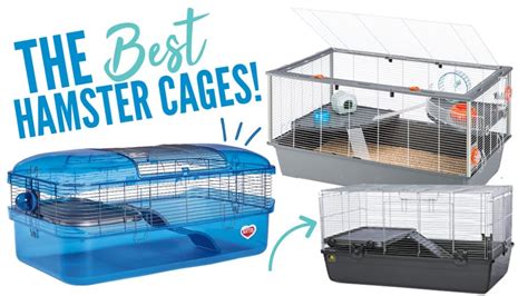 The Best Hamster Cages Available Youtube