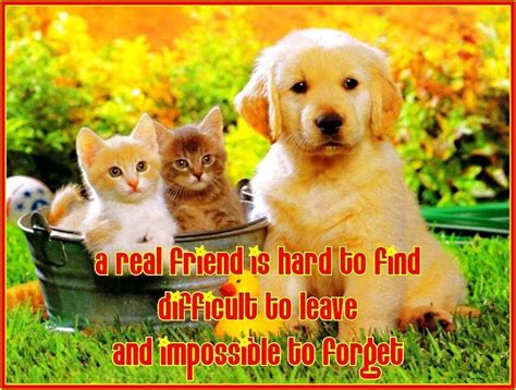 Cute Friendship Quotes Inspiring Friends Poems