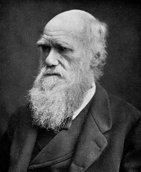 Biography Of Evolution Scientist Charles Darwin
