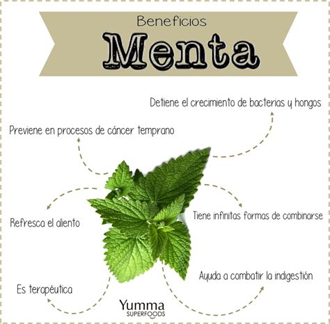 6 Beneficios De La Menta Medicinal Remedios Caseros Salud Y Menta