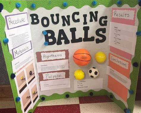 2019 Science Fair Mcginnis Woods Country Day School