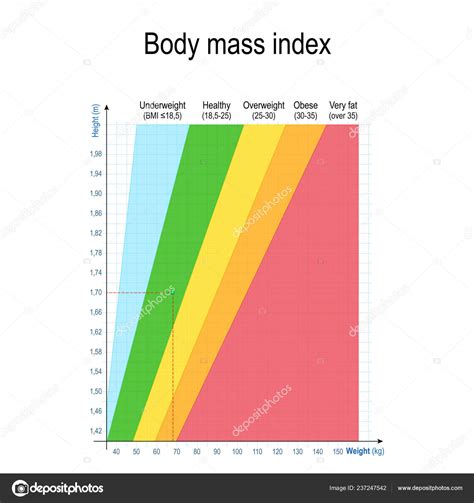 Body Mass Index Bmi Weight Height Chart Women Men Weight Stock Vector Image By ©edesignua 237247542