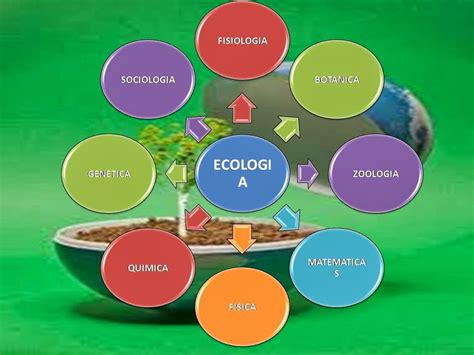 Ecologia Que Es Ecolog A