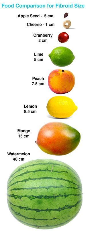 A common question is how many inch in 6 centimeter? Comparing Fibroids with Fruits | Fibroids, Uterine ...