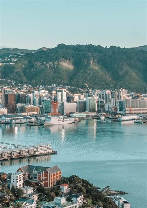 15 Best Things To Do In Wellington New Zealand Hand Luggage Only