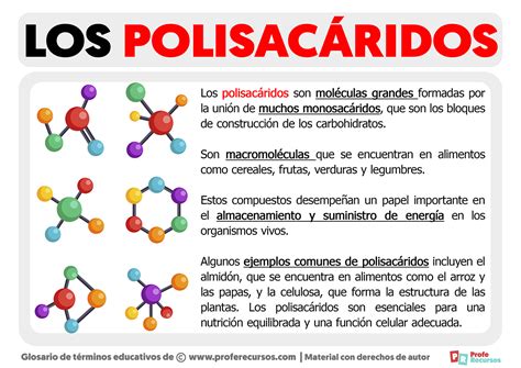 Qué Es Un Polisacárido Definición De Polisacárido