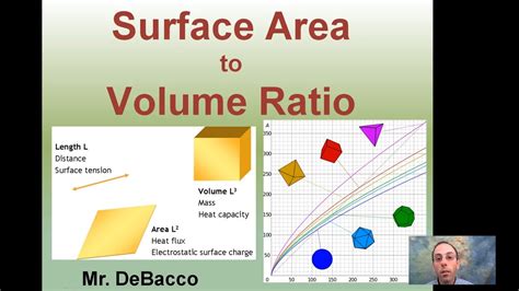 Surface Area To Volume Ratio Youtube