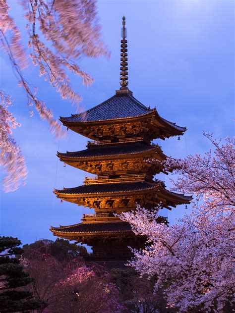 Spring Evening At Toji Location Toji Temple Kyoto Flickr