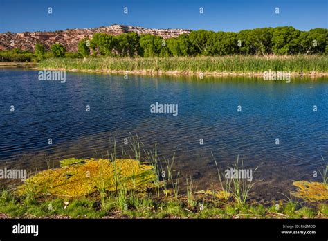 Lagoon At Riparian Zone In Verde River Valley Dead Horse Ranch State
