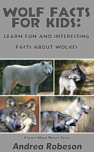 Wolf Facts For Kids Learn Fun And Interesting Facts About Wolves