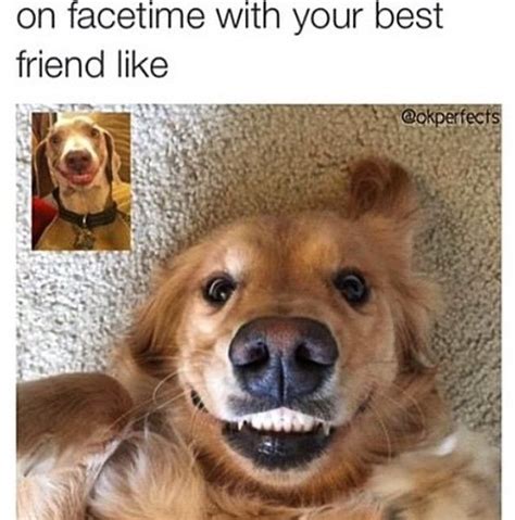 20 Best Friend Memes Thatll Make You Want To Tag Your Bff