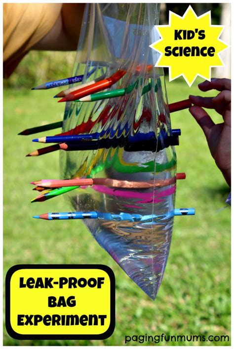 Leak Proof Bag Kids Science Experiment