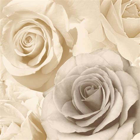 Free Download Wallpaper Muriva Muriva Madison Rose Floral Wallpaper