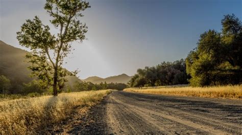 Free Images Landscape Tree Nature Field Prairie Hill Desert