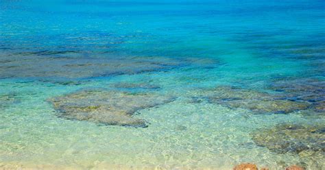 Barbados is the culinary capital of the caribbean with the full range of amazing dining from outdoor fish fries and village rum shops serving tasty bajan fare to numerous exquisite fine dining restaurants with award winning cuisine. Barbados Snorkeling