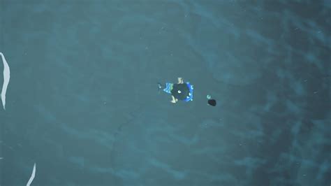 Maybe you would like to learn more about one of these? List Of New Sea Creatures In Animal Crossing: New Horizons ...