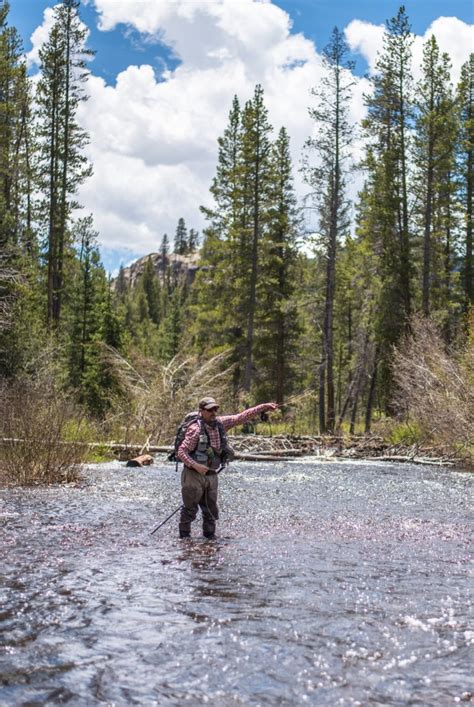 Dry Fly Fishing Tips And Techniques Flylords Mag