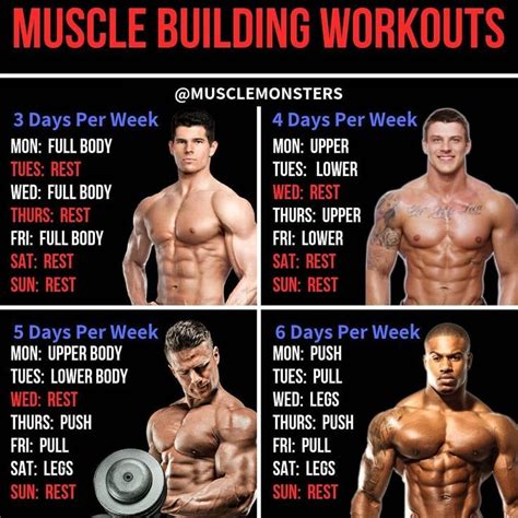 8 Powerful Muscle Building Gym Training Splits GymGuider Com Total