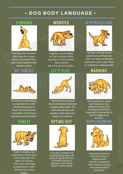 Dog Body Language 4 Simply Behaviour Dog Training Courses Dog