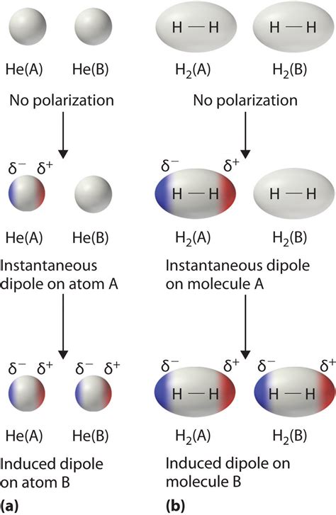 128 Intermolecular Forces Dispersion Dipoledipole Hydrogen