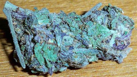 Blue Dream Strain Information And Review Rolling Paper