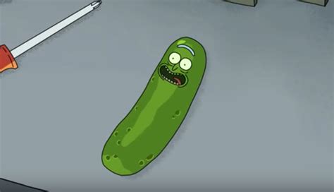 But pickle rick wasn't just a collection of ridiculous puns. Rick et Morty saison 3 est sortie ! / Blog GoCustomized France